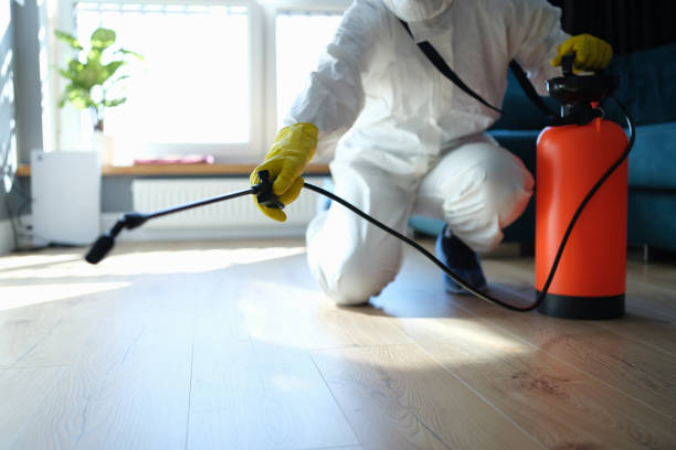 Reliable Hoarding Cleanup contractor in Brooklyn, MD by Trauma Clean Pros